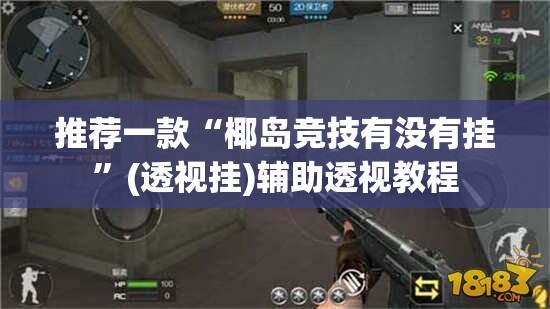 推荐一款“椰岛竞技有没有挂”(透视挂)辅助透视教程