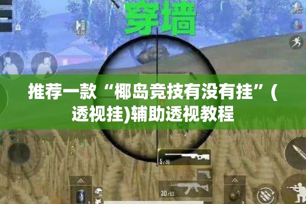 推荐一款“椰岛竞技有没有挂	”(透视挂)辅助透视教程