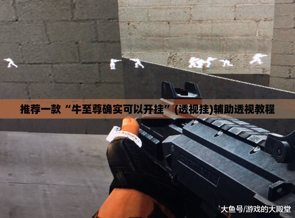 推荐一款“牛至尊确实可以开挂”(透视挂)辅助透视教程