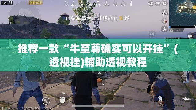 推荐一款“牛至尊确实可以开挂”(透视挂)辅助透视教程