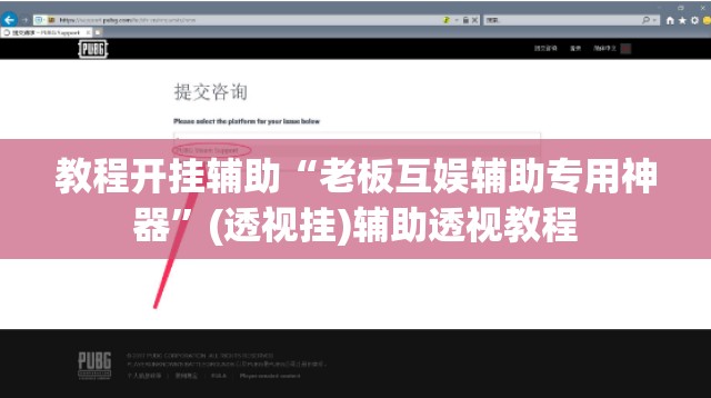 教程开挂辅助“老板互娱辅助专用神器”(透视挂)辅助透视教程
