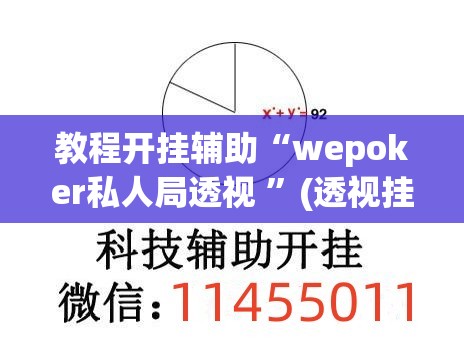 教程开挂辅助“wepoker私人局透视 	”(透视挂)辅助透视教程