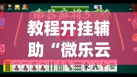 教程开挂辅助“微乐云南麻将到底有挂吗”(透视挂)辅助透视教程