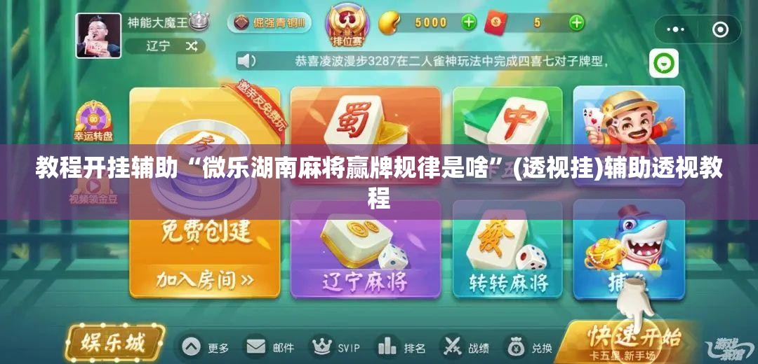 教程开挂辅助“微乐湖南麻将赢牌规律是啥”(透视挂)辅助透视教程