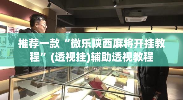 推荐一款“微乐陕西麻将开挂教程	”(透视挂)辅助透视教程