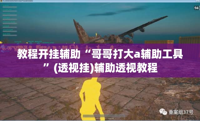 教程开挂辅助“哥哥打大a辅助工具”(透视挂)辅助透视教程