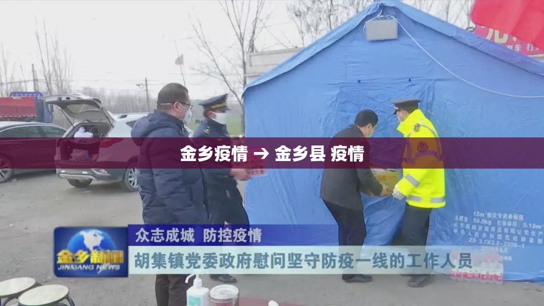 金乡疫情 → 金乡县 疫情