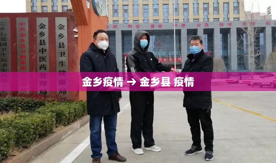 金乡疫情 → 金乡县 疫情