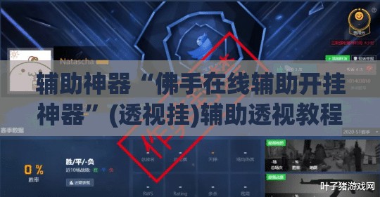 辅助神器“佛手在线辅助开挂神器”(透视挂)辅助透视教程