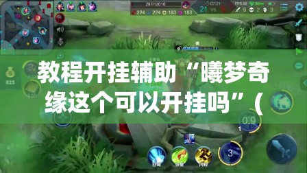 教程开挂辅助“曦梦奇缘这个可以开挂吗”(透视挂)辅助透视教程