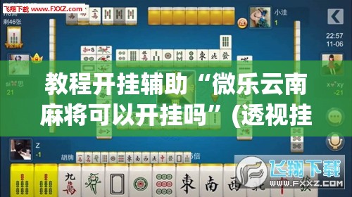 教程开挂辅助“微乐云南麻将可以开挂吗	”(透视挂)辅助透视教程