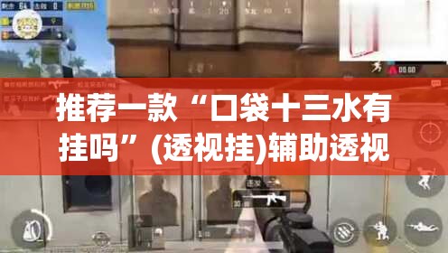 推荐一款“口袋十三水有挂吗	”(透视挂)辅助透视教程