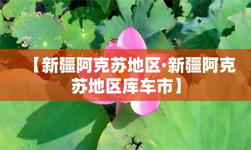 【新疆阿克苏地区·新疆阿克苏地区库车市】
