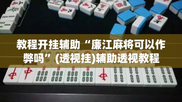 教程开挂辅助“廉江麻将可以作弊吗	”(透视挂)辅助透视教程