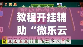 教程开挂辅助“微乐云南麻将怎样免费开挂	”(透视挂)辅助透视教程
