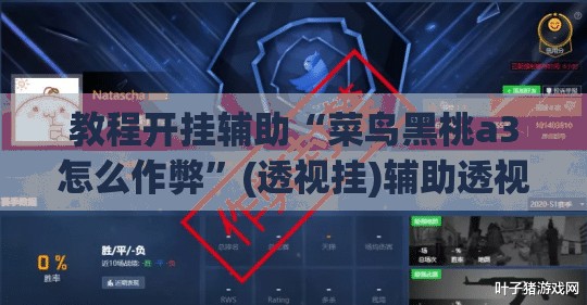 教程开挂辅助“菜鸟黑桃a3怎么作弊”(透视挂)辅助透视教程