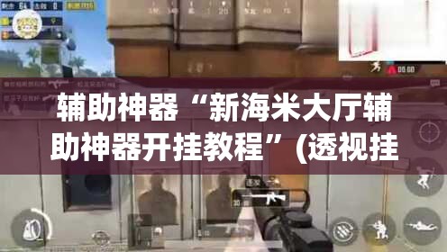 辅助神器“新海米大厅辅助神器开挂教程”(透视挂)辅助透视教程