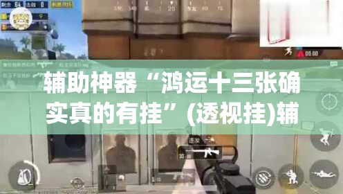 辅助神器“鸿运十三张确实真的有挂”(透视挂)辅助透视教程