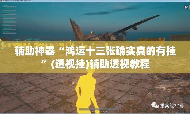 辅助神器“鸿运十三张确实真的有挂	”(透视挂)辅助透视教程