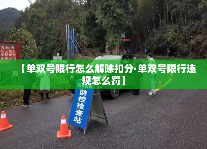 【单双号限行怎么解除扣分·单双号限行违规怎么罚】