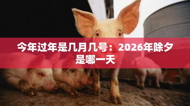 今年过年是几月几号：2026年除夕是哪一天