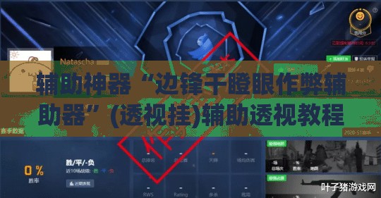 辅助神器“边锋干瞪眼作弊辅助器”(透视挂)辅助透视教程