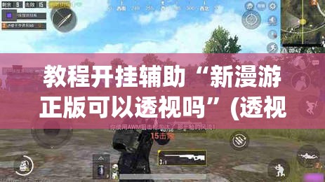 教程开挂辅助“新漫游正版可以透视吗	”(透视挂)辅助透视教程