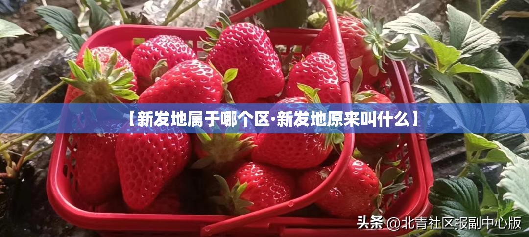 【新发地属于哪个区·新发地原来叫什么】 【新发地属于哪个区·新发地原来叫什么】