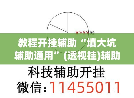 教程开挂辅助“填大坑辅助通用”(透视挂)辅助透视教程