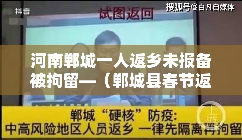 河南郸城一人返乡未报备被拘留—（郸城县春节返乡）