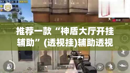 推荐一款“神盾大厅开挂辅助”(透视挂)辅助透视教程