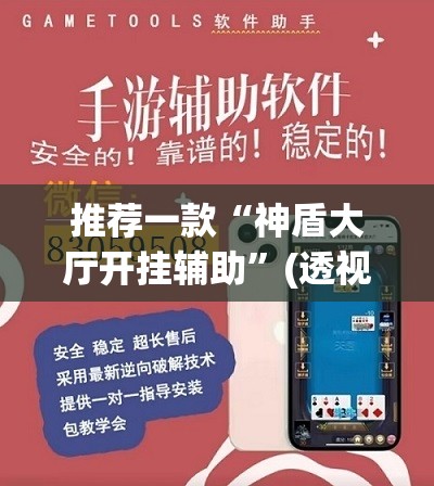 推荐一款“神盾大厅开挂辅助”(透视挂)辅助透视教程