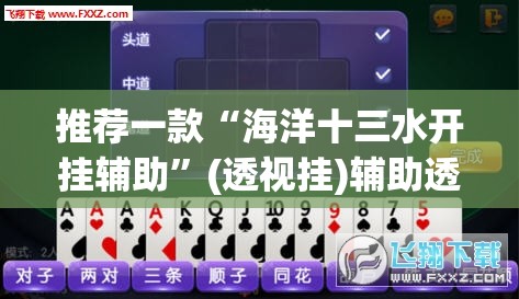 推荐一款“海洋十三水开挂辅助	”(透视挂)辅助透视教程