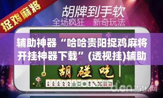 辅助神器“哈哈贵阳捉鸡麻将开挂神器下载”(透视挂)辅助透视教程