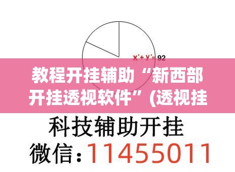 教程开挂辅助“新西部开挂透视软件	”(透视挂)辅助透视教程