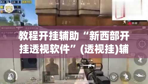 教程开挂辅助“新西部开挂透视软件”(透视挂)辅助透视教程