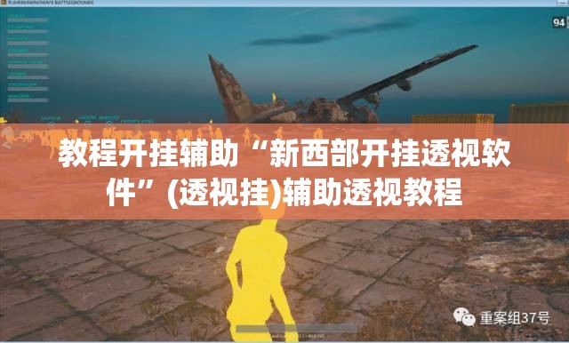 教程开挂辅助“新西部开挂透视软件”(透视挂)辅助透视教程