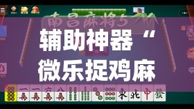 辅助神器“微乐捉鸡麻将开挂教程步骤图”(透视挂)辅助透视教程