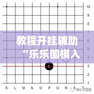 教程开挂辅助“乐乐围棋入门怎么开挂	”(透视挂)辅助透视教程