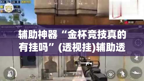 辅助神器“金杯竞技真的有挂吗”(透视挂)辅助透视教程