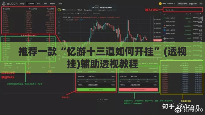 推荐一款“忆游十三道如何开挂”(透视挂)辅助透视教程