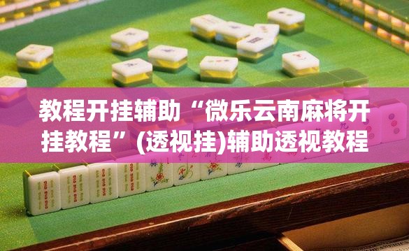教程开挂辅助“微乐云南麻将开挂教程”(透视挂)辅助透视教程