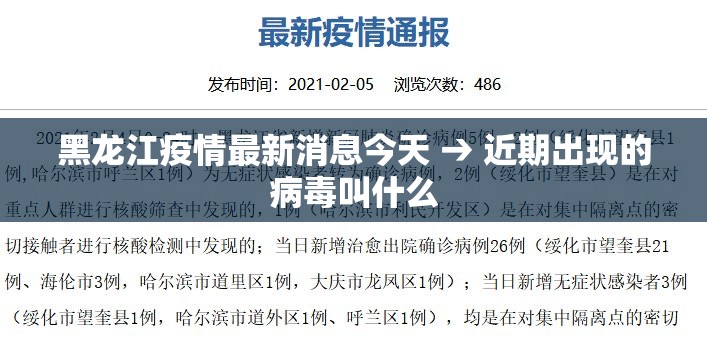 黑龙江疫情最新消息今天 → 近期出现的病毒叫什么