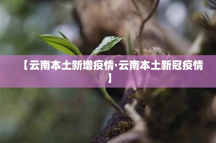 黄标车限行的简单介绍