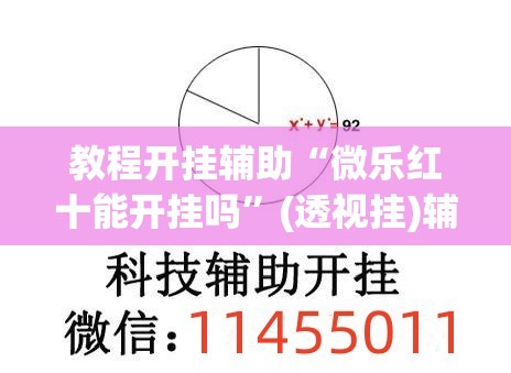 教程开挂辅助“微乐红十能开挂吗”(透视挂)辅助透视教程
