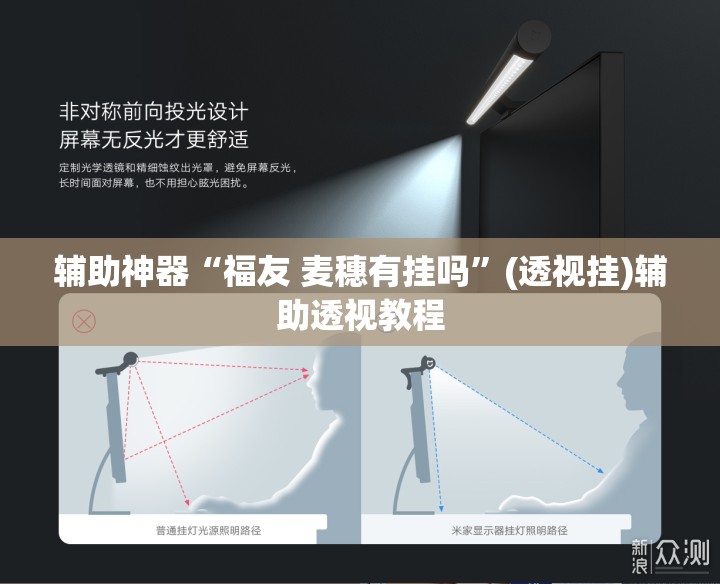 辅助神器“福友 麦穗有挂吗”(透视挂)辅助透视教程