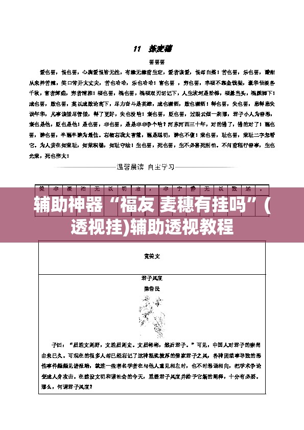 辅助神器“福友 麦穗有挂吗	”(透视挂)辅助透视教程