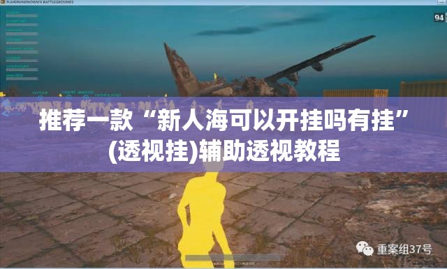 推荐一款“新人海可以开挂吗有挂	”(透视挂)辅助透视教程