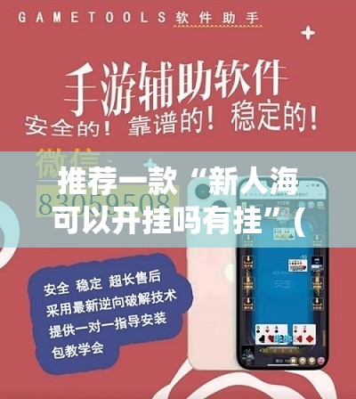 推荐一款“新人海可以开挂吗有挂”(透视挂)辅助透视教程