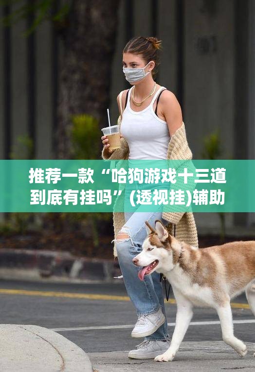 推荐一款“哈狗游戏十三道到底有挂吗	”(透视挂)辅助透视教程